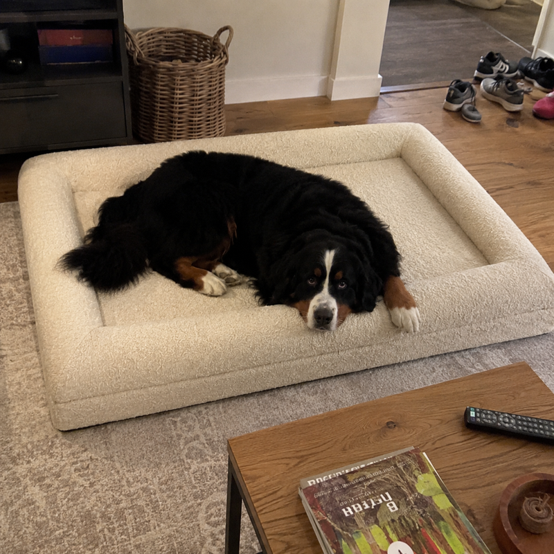 Happy Fetch & Co. customer