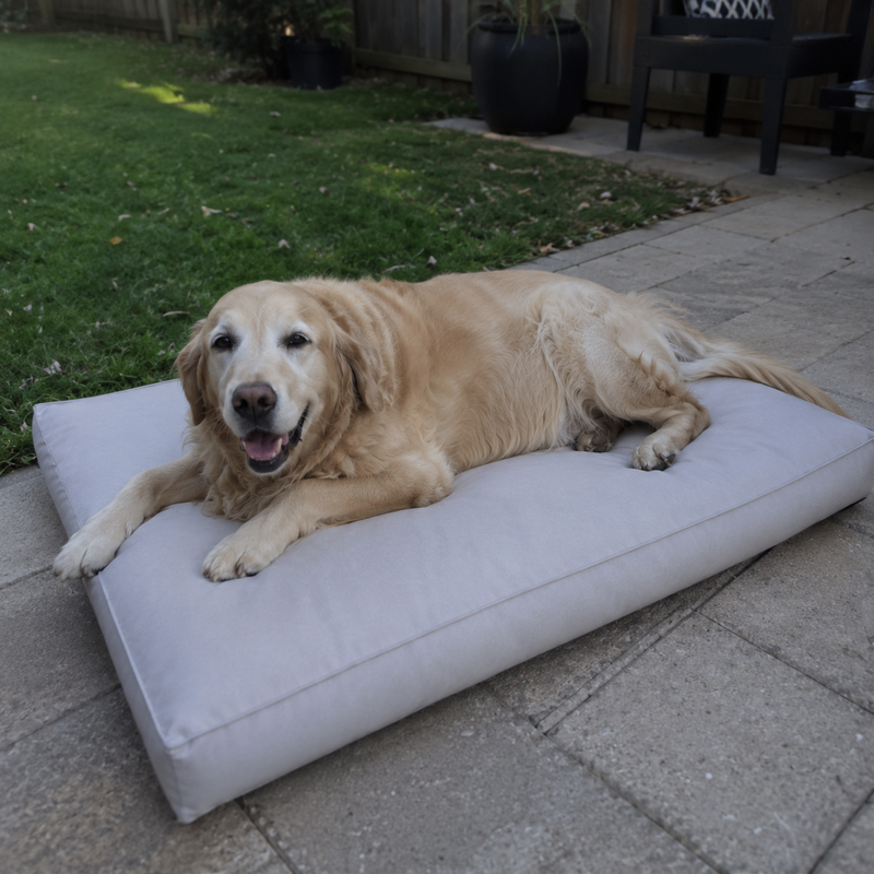 Happy Fetch & Co. customer