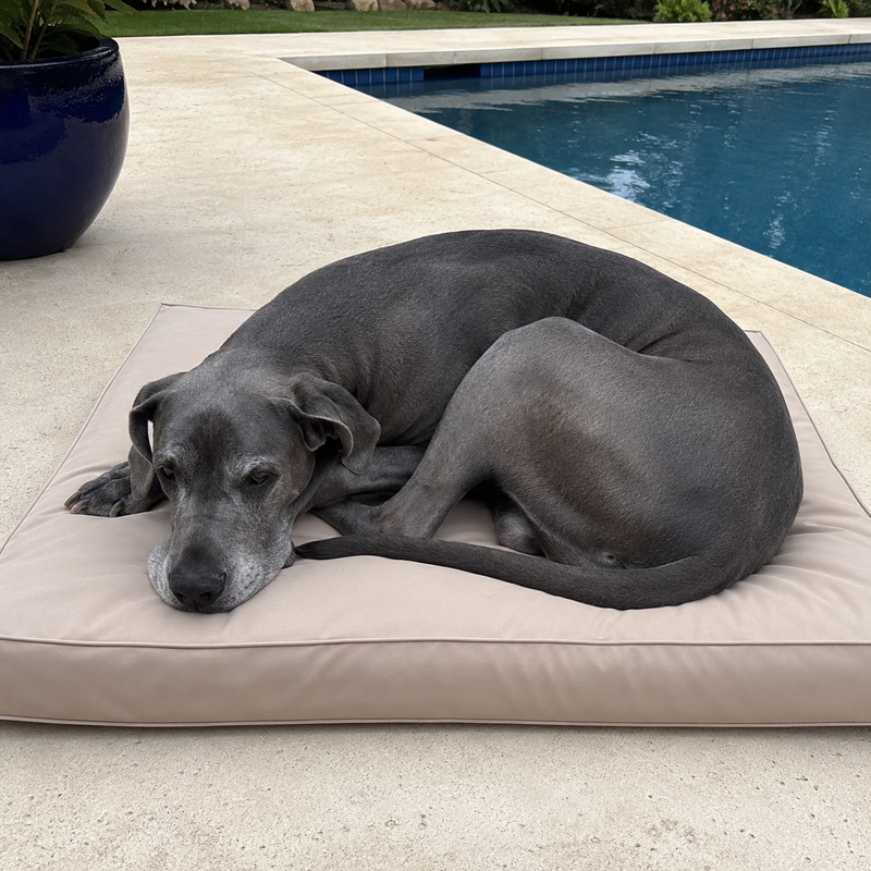 Happy Fetch & Co. customer