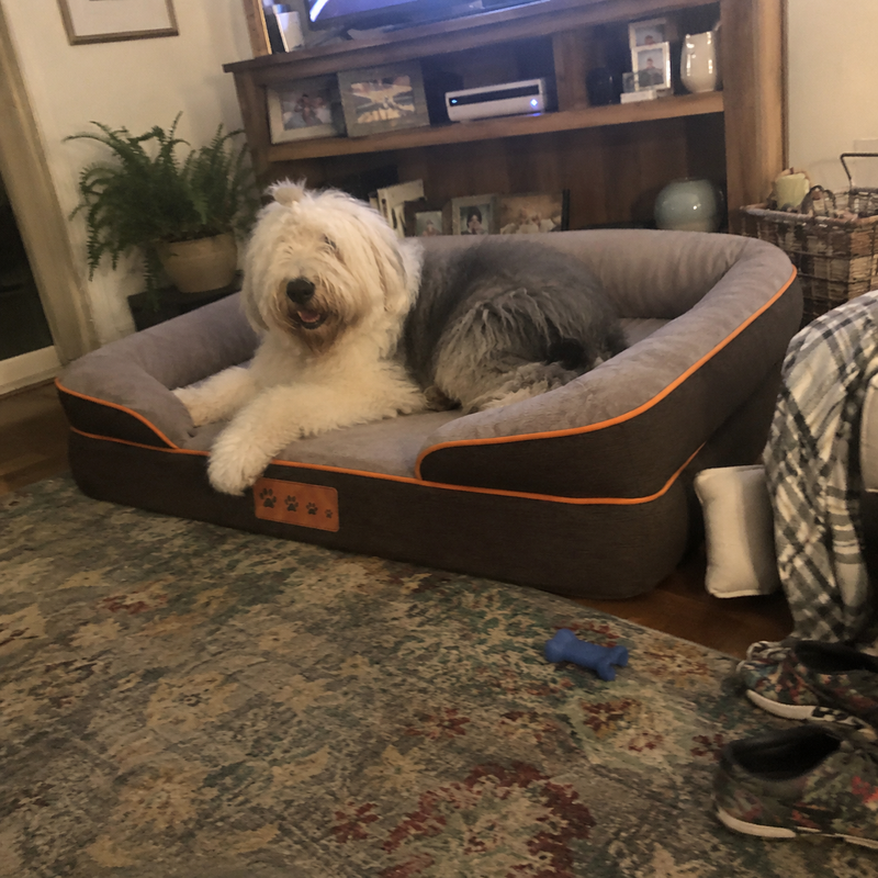 Happy Fetch & Co. customer