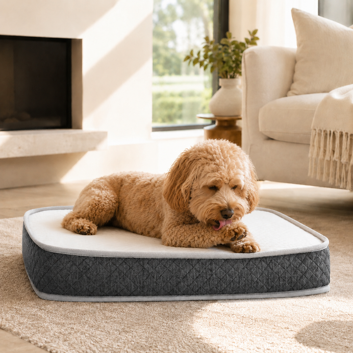 The Windsor Dog Mattress