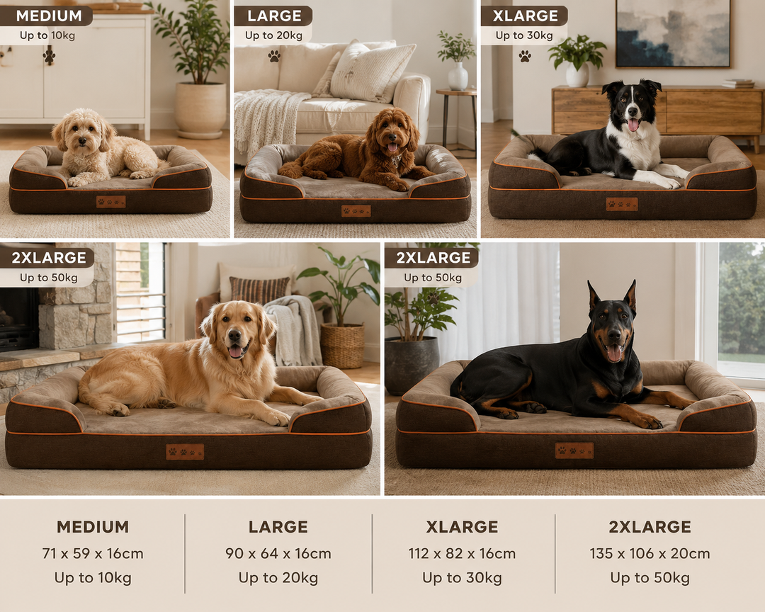 The Chelsea Orthopaedic Memory Foam Bed